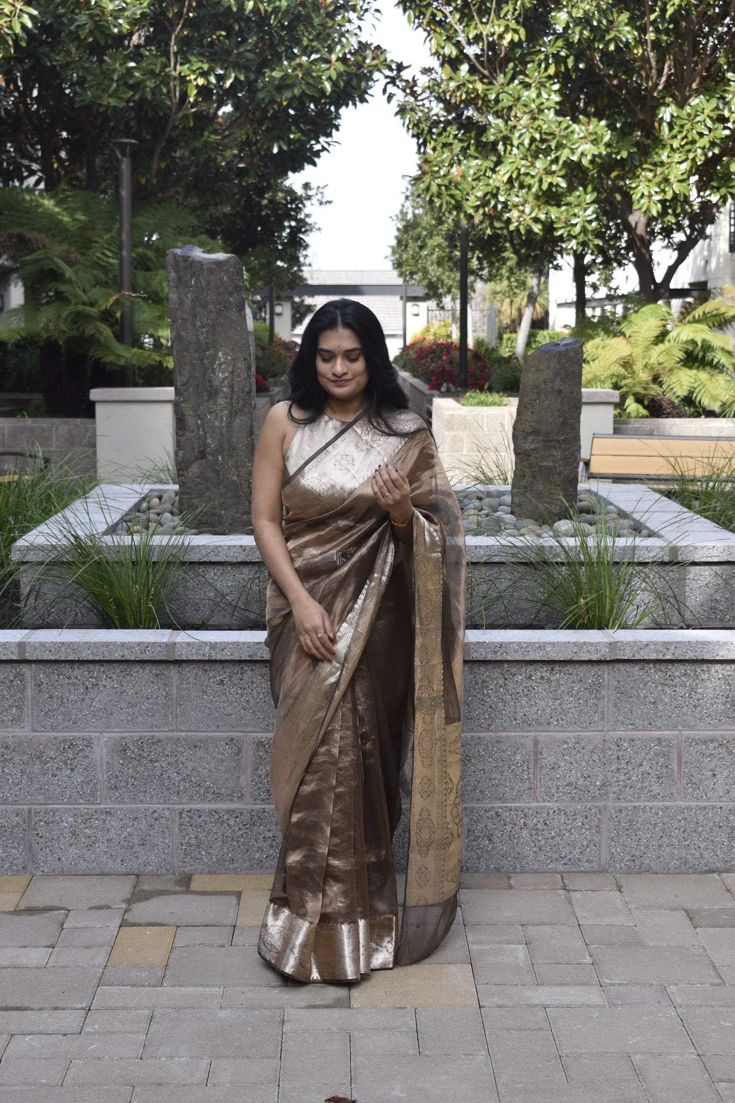 Brown Tissue Organza Saree