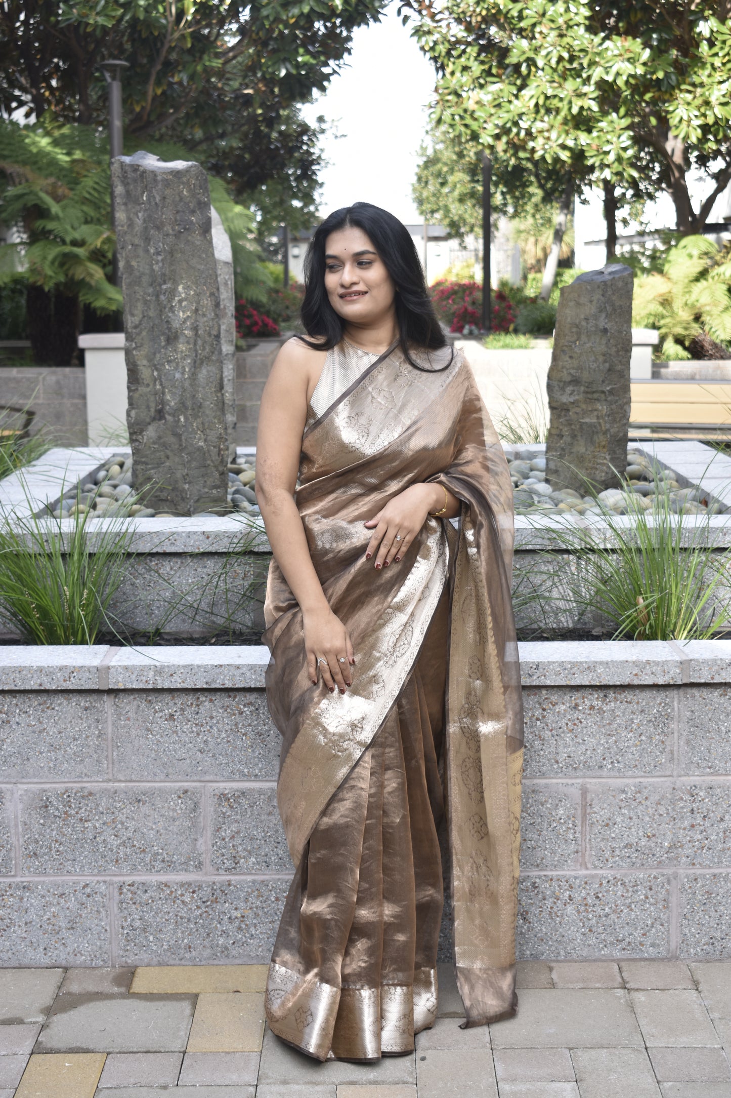 Brown Tissue Organza Saree