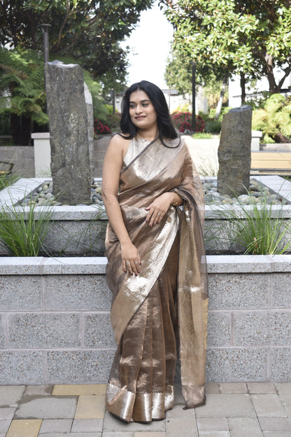 Brown Tissue Organza Saree