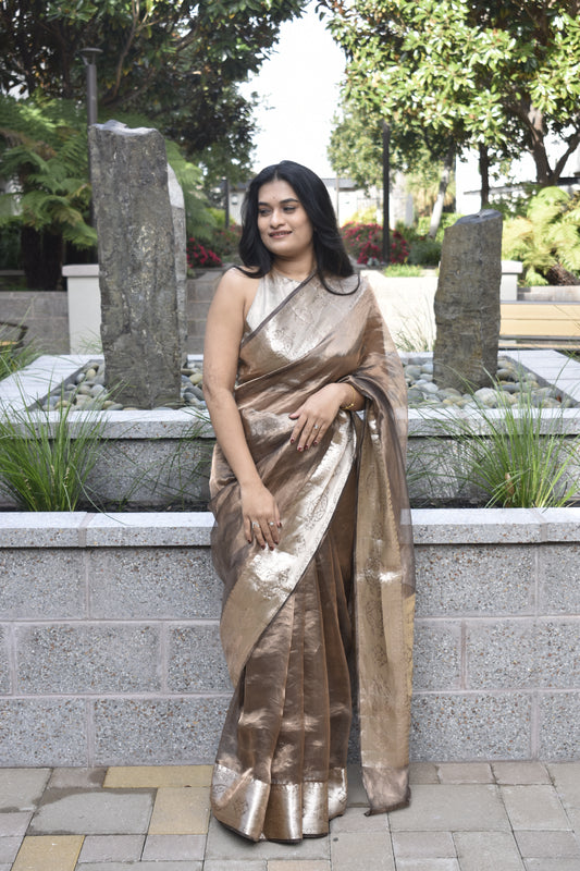 Brown Tissue Organza Saree