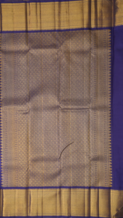 Sky Blue Kanjivaram Silk Saree